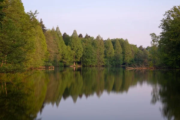 Прекрасный Вид Реку Бергиш Гладбах Германия Отражением Зеленых Деревьев — стоковое фото