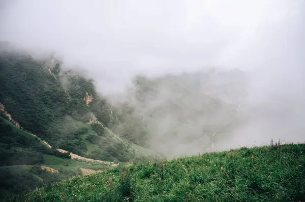 Una Hermosa Colinas Arboladas Través Valle Profundo Con Una Densa —  Fotos de Stock