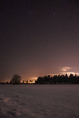 Kış gecesinde karla kaplı zeminin üzerinde canlı bir gece görüntüsü.