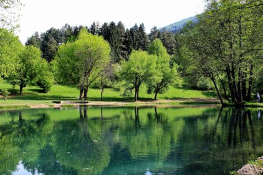 Küçük su gövdesindeki farklı ağaç yansımalarının hoş bir görüntüsü.