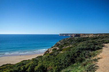 Portekiz 'in Algarve kıyı şeridi boyunca yemyeşil bitkilerle sarp kayalıkların hava manzarası
