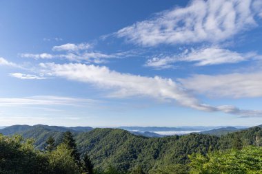 Dağların yakınındaki güzel bir ormanın havadan görünüşü.