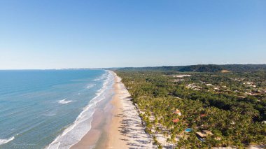 Ağaçlı ve açık gökyüzü arka planlı bir sahil manzarası.