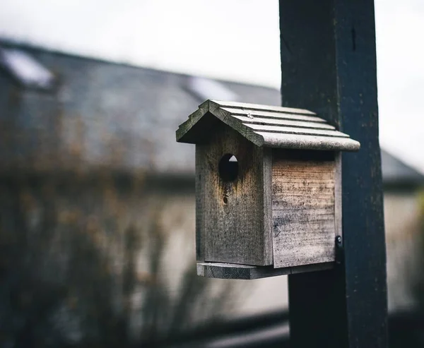 Primer Plano Una Casa Pájaros Madera Hecha Mano Colgando Poste — Foto de Stock