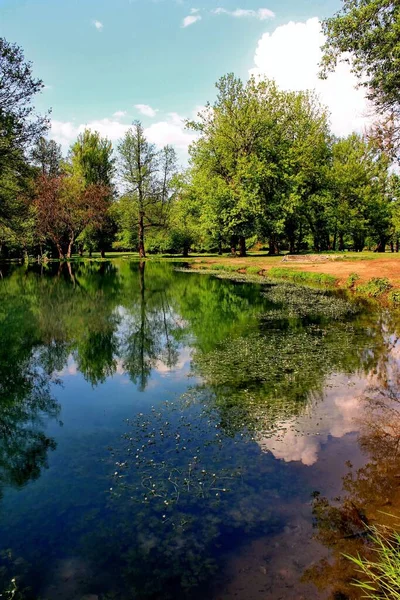 Uma Bela Vista Árvores Verdes Céu Claro Refletido Pequena Área — Fotografia de Stock