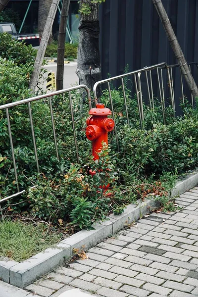 Tiro Vertical Hidrante Água Vermelha Uma Calçada — Fotografia de Stock