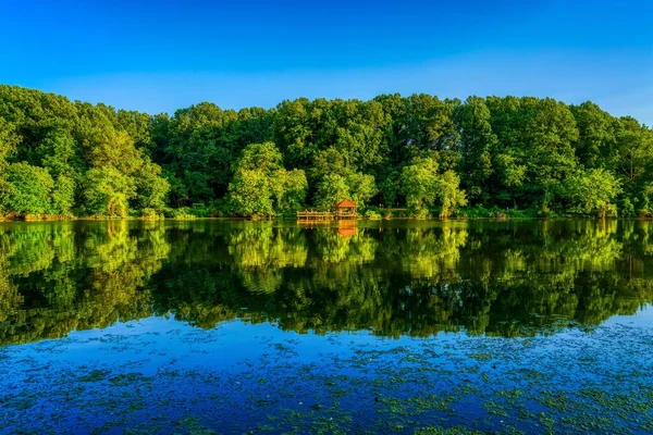 Hisnande Natur Lugn Damm Med Reflektioner — Stockfoto