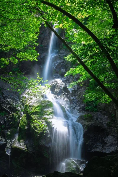 Wasser Fließt Aus Dem Wasserfall Wald — Stockfoto