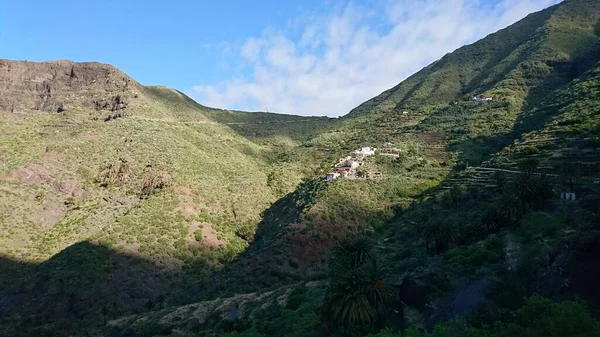 Tenerife Május 2018 Teno Túraútvonal Közelében Masca Canyon — Stock Fotó