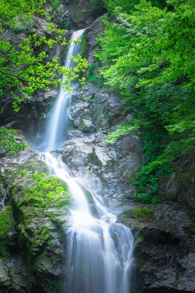 Wasser Fließt Aus Wasserfall Wald — Stockfoto