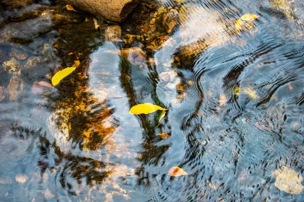 Close Superfície Água Com Rochas Folhas Amarelas — Fotografia de Stock