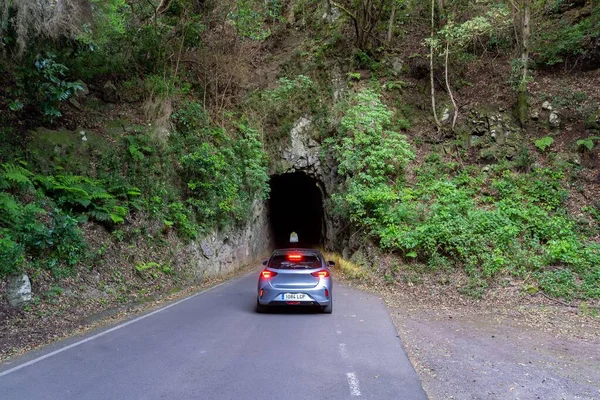 Сірий Автомобіль Входить Тунель Пальмі Канарські Острови — стокове фото