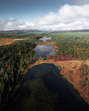 İsveç 'in kuzeyindeki üç gölün dikey görüntüsü.