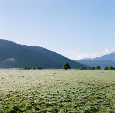 Uzaklarda, yüksek tepelerde ve dağların ardında birkaç küçük ağacın olduğu yeşil bir çayır.