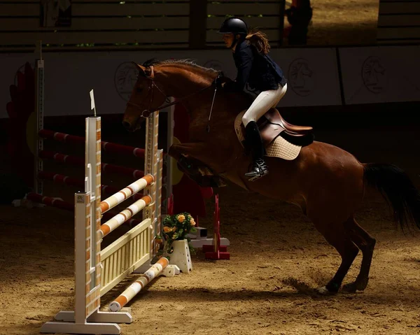 障害物を飛び越える馬の上の女性白人乗馬 — ストック写真