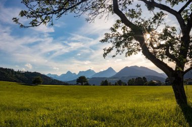 Ağaçların önündeki yeşil tarla ve bulutlu mavi gökyüzünün altındaki dağlar.