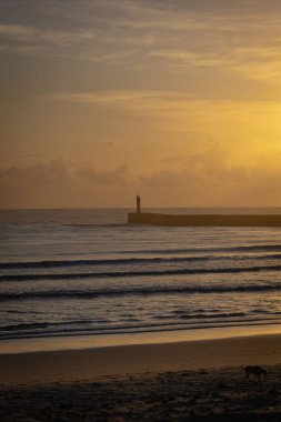 Okyanusun üzerindeki bu çarpıcı gün batımını takdir ediyorum.