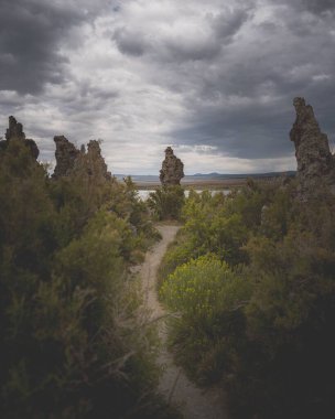 Kaliforniya 'daki Mono Gölü yakınlarındaki kayalık oluşumların ve ağaçların dikey çekimi.