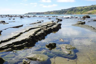 Kayalık bir sahil manzarası