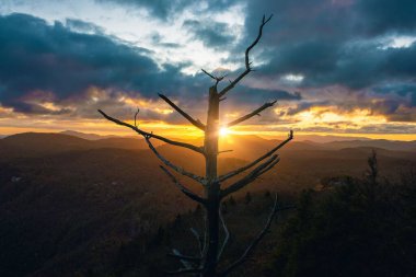 Renkli bir günbatımında, arka planda dağ manzaralı kuru ağaç dallarına yakın çekim