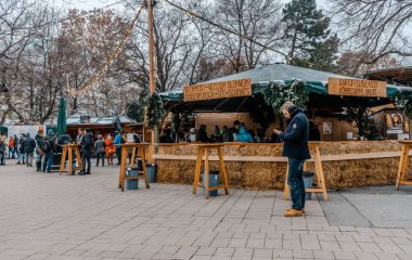Avusturya 'nın güzel şehri Viyana