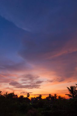 Gün batımında ağaçların silueti ile renkli bulutlu gökyüzünün dikey görüntüsü