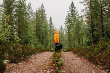 Dar bir yolda turuncu ceketli bir yürüyüşçünün arka görüntüsü Kuzey İskandinav kozalaklı ormanı