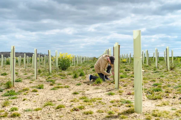 Een Man Repareren Hek Het Veld Onder Een Sombere Lucht — Stockfoto