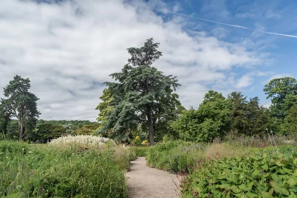 Ścieżka Leśna Staffordshire Lakeside Słoneczny Dzień Stoke Trent — Zdjęcie stockowe