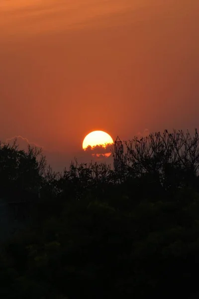 木々のシルエットの後ろに沈む太陽の垂直ショット — ストック写真