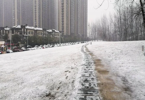 背景には 雪の多い市街地や歩道 足跡や裸の木があります — ストック写真