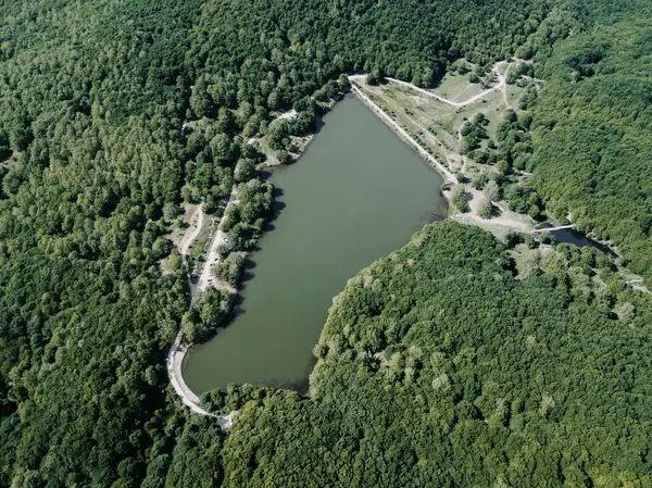 Vue Dessus Lac Verdoyant Entouré Arbres Forestiers — Photo