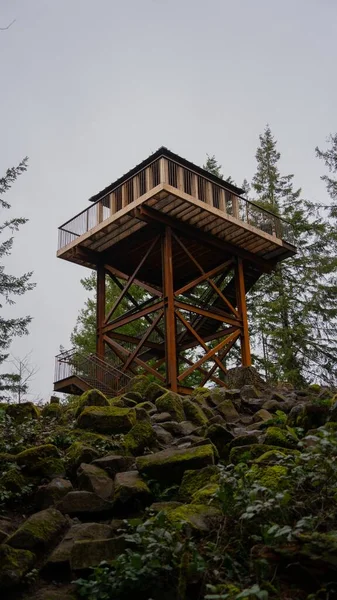 Κάθετη Λήψη Ξύλινου Πύργου Παρατήρησης — Φωτογραφία Αρχείου