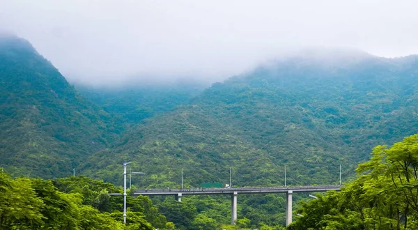 Eine Lange Brücke Einem Dichten Wald Einer Bergigen Gegend Einem — Stockfoto