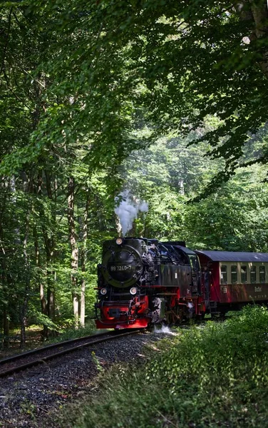 Brocken Σιδηροδρόμων Στα Βουνά Harz — Φωτογραφία Αρχείου