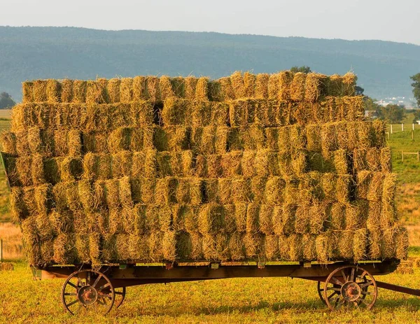 Primo Piano Carro Pieno Mattoni Fieno Campo Posto Lancaster — Foto Stock