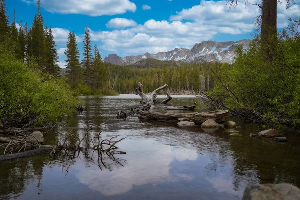 Yeşil Ağaçların Arasından Akan Bir Nehrin Dikey Görüntüsü Dağlara Karşı — Stok fotoğraf