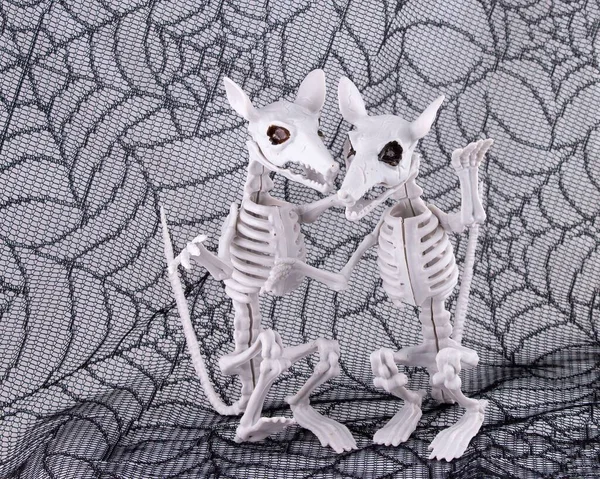 Eine Nahaufnahme Von Zwei Gruseligen Halloween Rattenskeletten Auf Spinnennetzhintergrund — Stockfoto