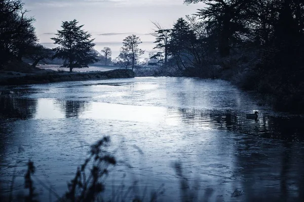 Zamarznięte Niebieskie Jezioro Kaczką Ponurym Parku Leicester — Zdjęcie stockowe
