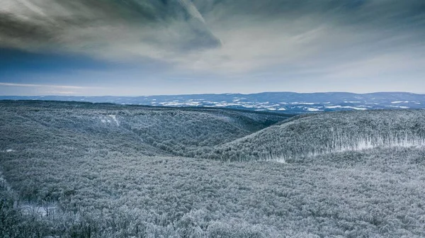 曇り空の日に森の丘の空中ドローンショット — ストック写真
