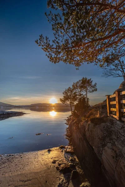 Vacker Utsikt Över Solnedgången Från Sjön Med Träd — Stockfoto