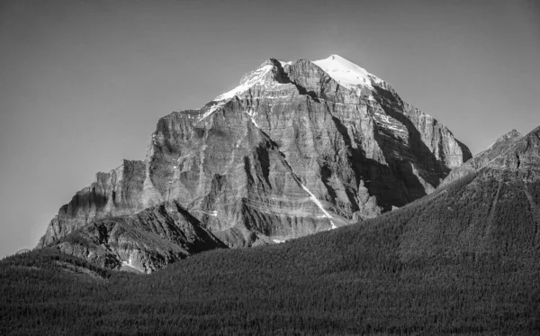 Μια Γραφική Θέα Ενός Πευκοδάσους Ενάντια Ένα Βουνό Που Καλύπτεται — Φωτογραφία Αρχείου