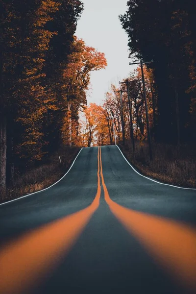 Una Toma Ángulo Bajo Carretera Bosque Otoño — Foto de Stock