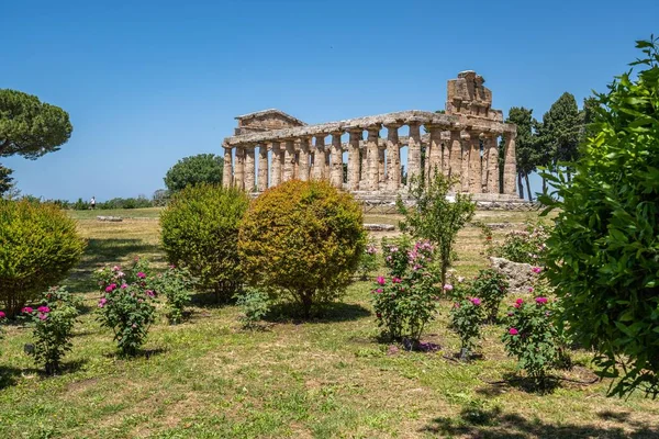 Αρχαίος Δωρικός Ναός Της Αθηνάς Στην Αρχαία Ελληνική Πόλη Paestum — Φωτογραφία Αρχείου