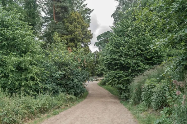 Staffordshire Lakeside Woodland Path Sunny Day Stoke Trent — Stock Photo, Image