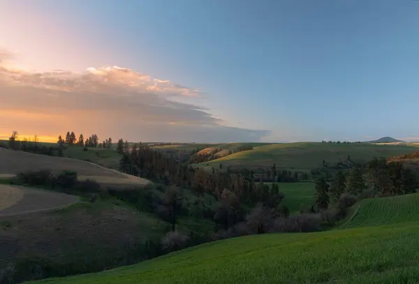 Вид Воздуха Пышные Зеленые Поля Долины Время Заката — стоковое фото