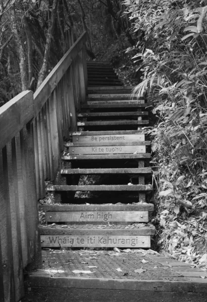 Uma Imagem Vertical Tons Cinza Escadas Motivacionais Wenderholm Park Nova — Fotografia de Stock