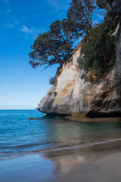 Yeni Zelanda Nın Hahei Kıyısındaki Ağaçlarla Kayalık Bir Uçurumun Dikey — Stok fotoğraf