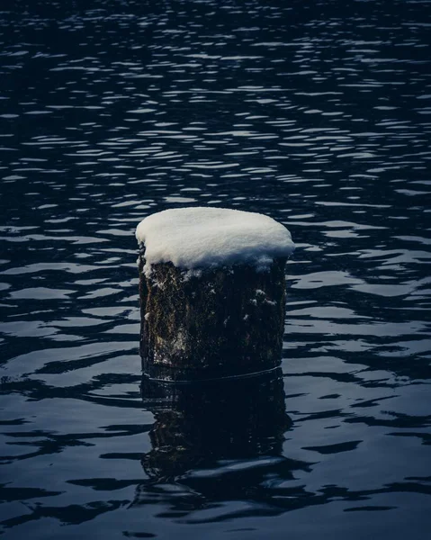 Tiro Vertical Poste Madeira Congelado Lago Baviera Alemanha — Fotografia de Stock