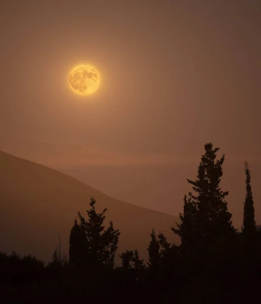 Pionowy Strzał Pełni Księżyca Świecącego Jasnego Nocy Tajemnicze Niebo Drzewami — Zdjęcie stockowe